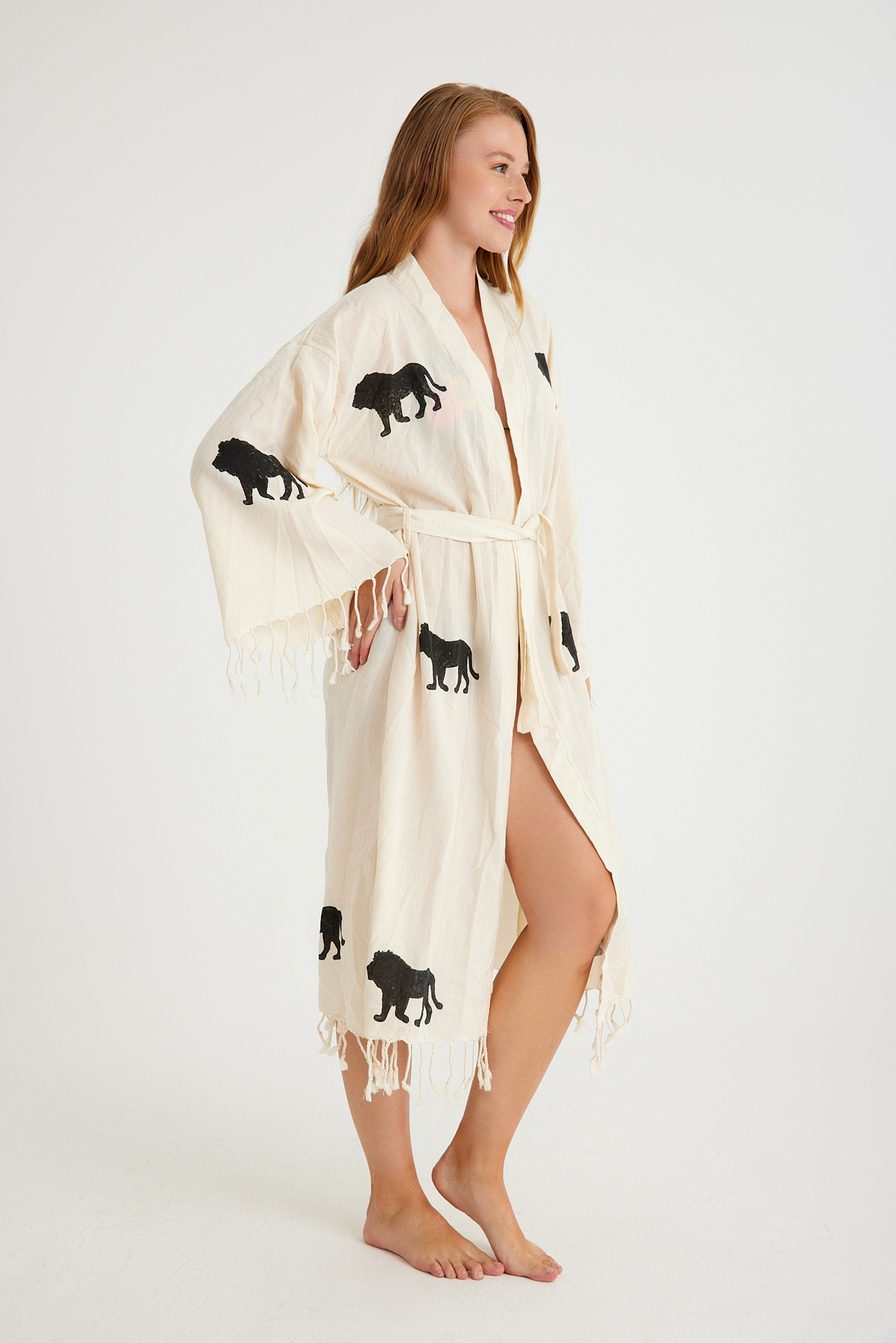 Lion - Image 4